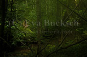 N&auml;cken - foto av Eva Bucksch
