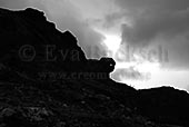 &Ouml;vervakare - foto av Eva Bucksch