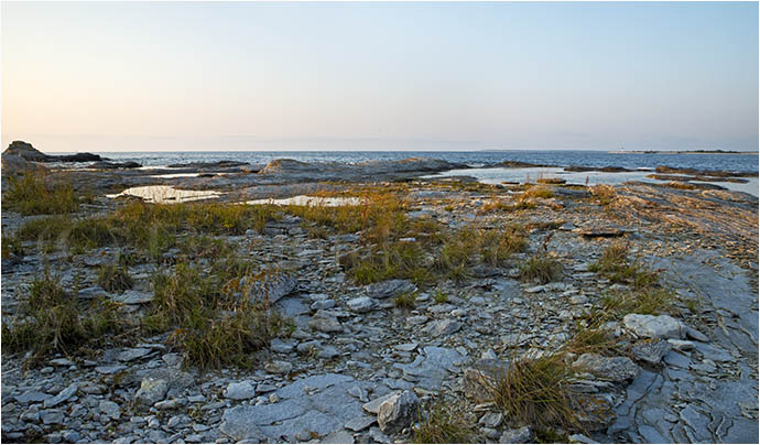 Julikv&auml;ll - foto av Eva Bucksch