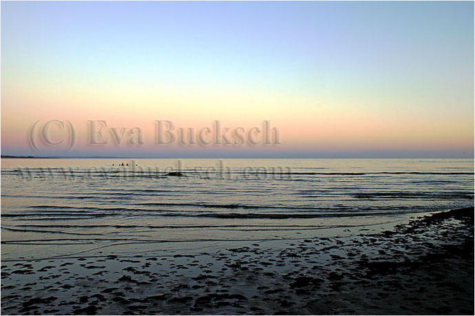 Kv&auml;llsdopp - foto av Eva Bucksch