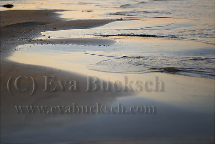 V&aring;gor - foto av Eva Bucksch