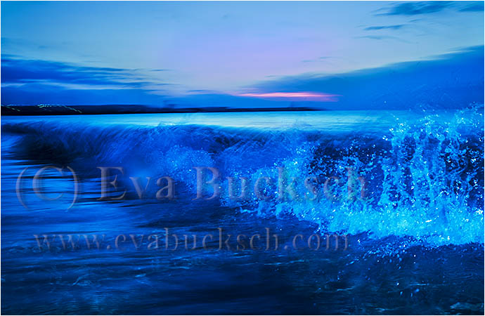 V&aring;gr&ouml;relse - foto av Eva Bucksch