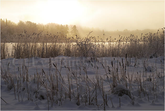 Vintersj&ouml; - foto av Eva Bucksch